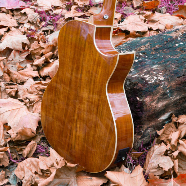 Lindo Left Handed Dandelion Pink Electro Acoustic Guitar BS5M Blend Preamp Padded Gig Bag