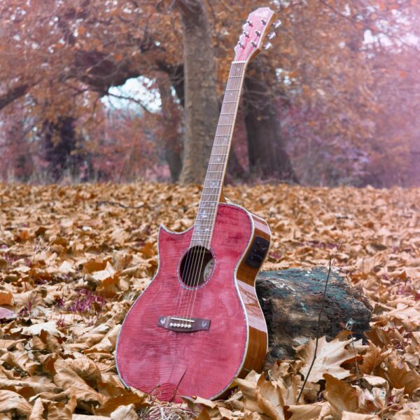 Lindo Left Handed Dandelion Pink Electro Acoustic Guitar BS5M Blend Preamp Padded Gig Bag