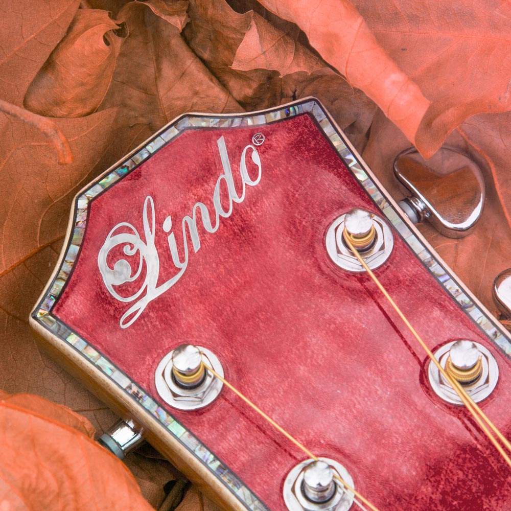 Lindo Left Handed Dandelion Pink Electro Acoustic Guitar BS5M Blend Preamp Padded Gig Bag