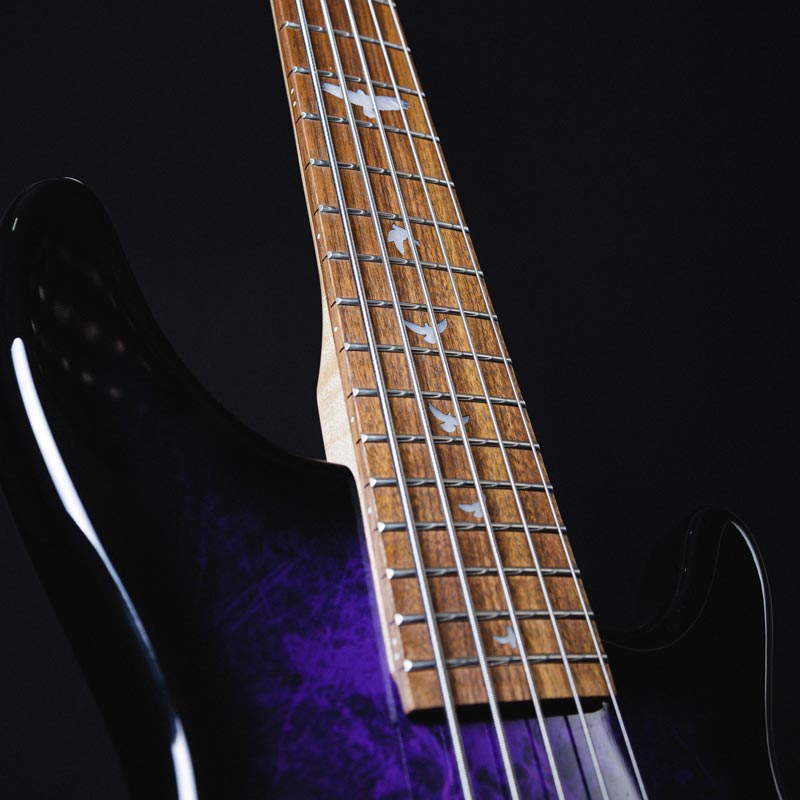 lindo-pdb-5-string-electric-bass-guitar-inlays-800px