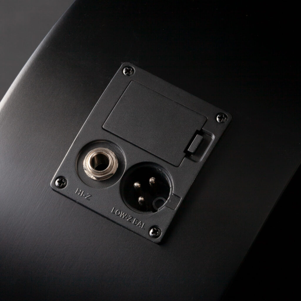 Neptune jack and balanced XLR output sockets
