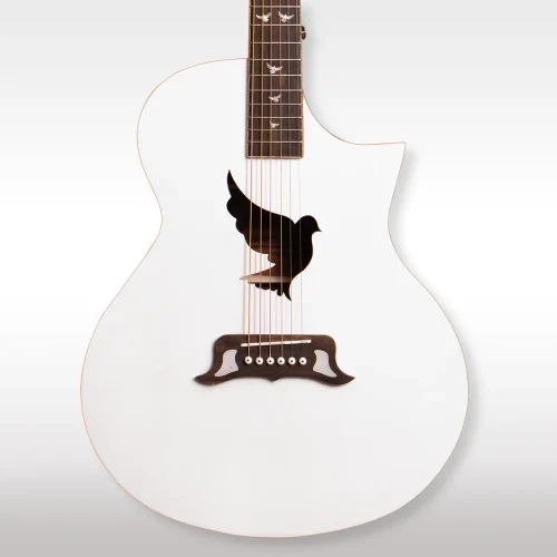 Lindo White Dove V4 Electro Acoustic Guitar