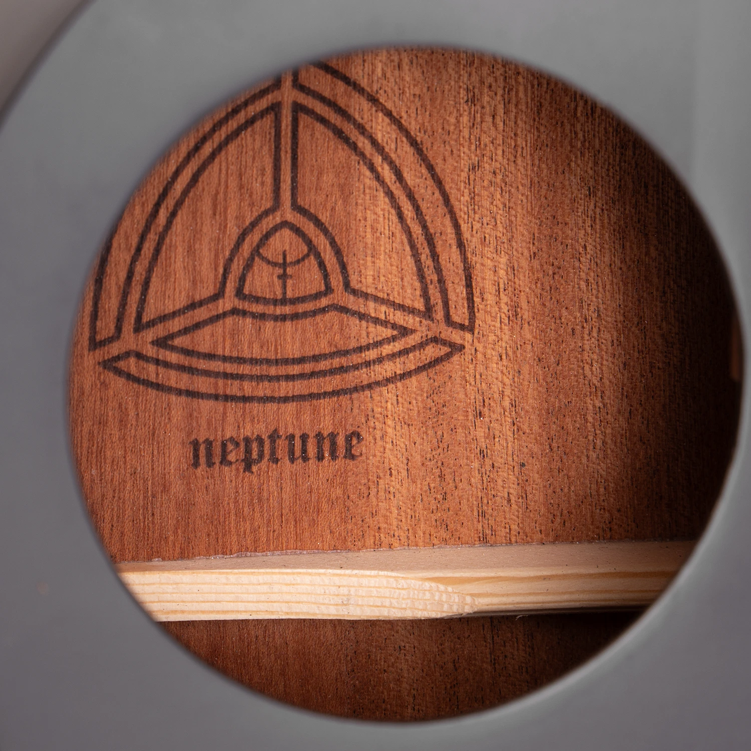 Lindo Neptune V3 Electro Acoustic Guitar in Soundhole