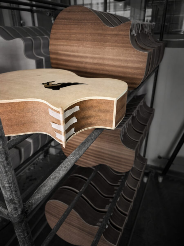 White Dove Acoustic Bass body