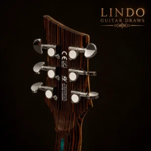 W32 Lindo Earth V1 Electro Acoustic Guitar — Win The Exact Guitar Shown – gallery image 4