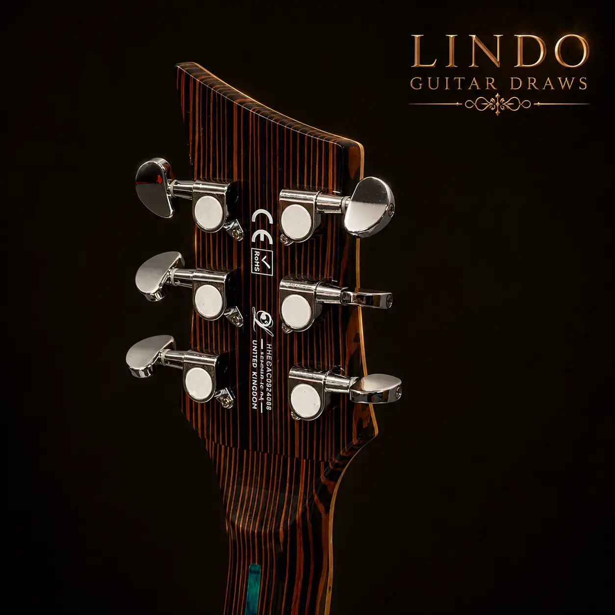 W32 Lindo Earth V1 Electro Acoustic Guitar — Win The Exact Guitar Shown – gallery image 4