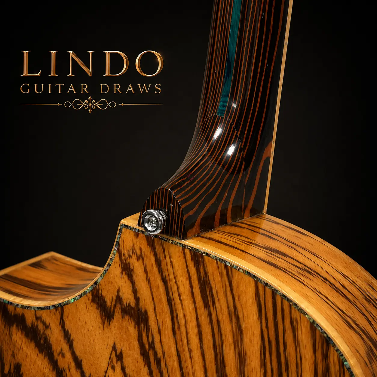 W32 Lindo Earth V1 Electro Acoustic Guitar — Win The Exact Guitar Shown – gallery image 6