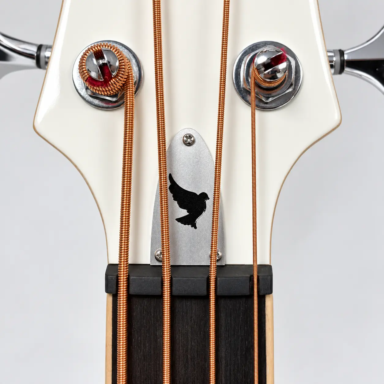 Lindo White Dove short scale electro acoustic bass guitar — nut and headstock plate detail