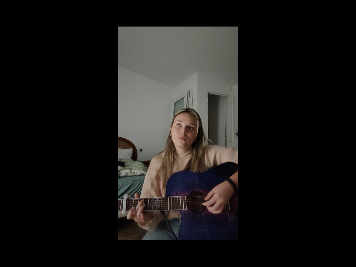 Lindo Swallow Electro Acoustic Guitar