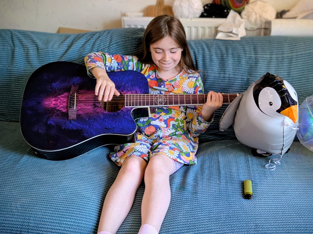 Lindo Swallow Electro Acoustic Guitar