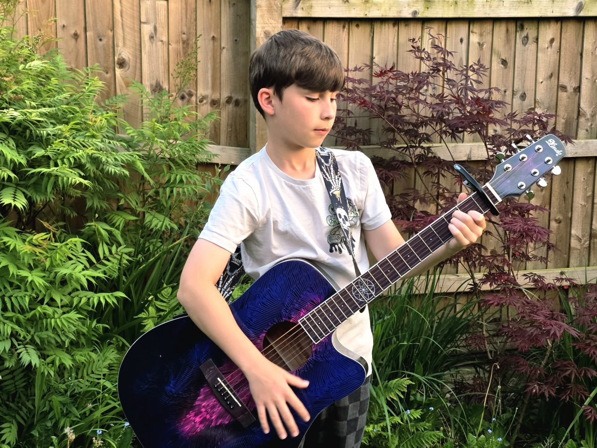 Lindo Swallow Electro Acoustic Guitar