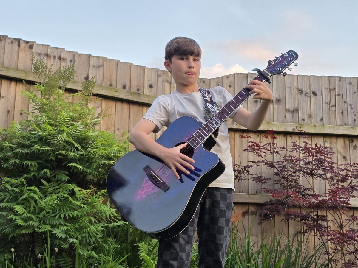 Lindo Swallow Electro Acoustic Guitar