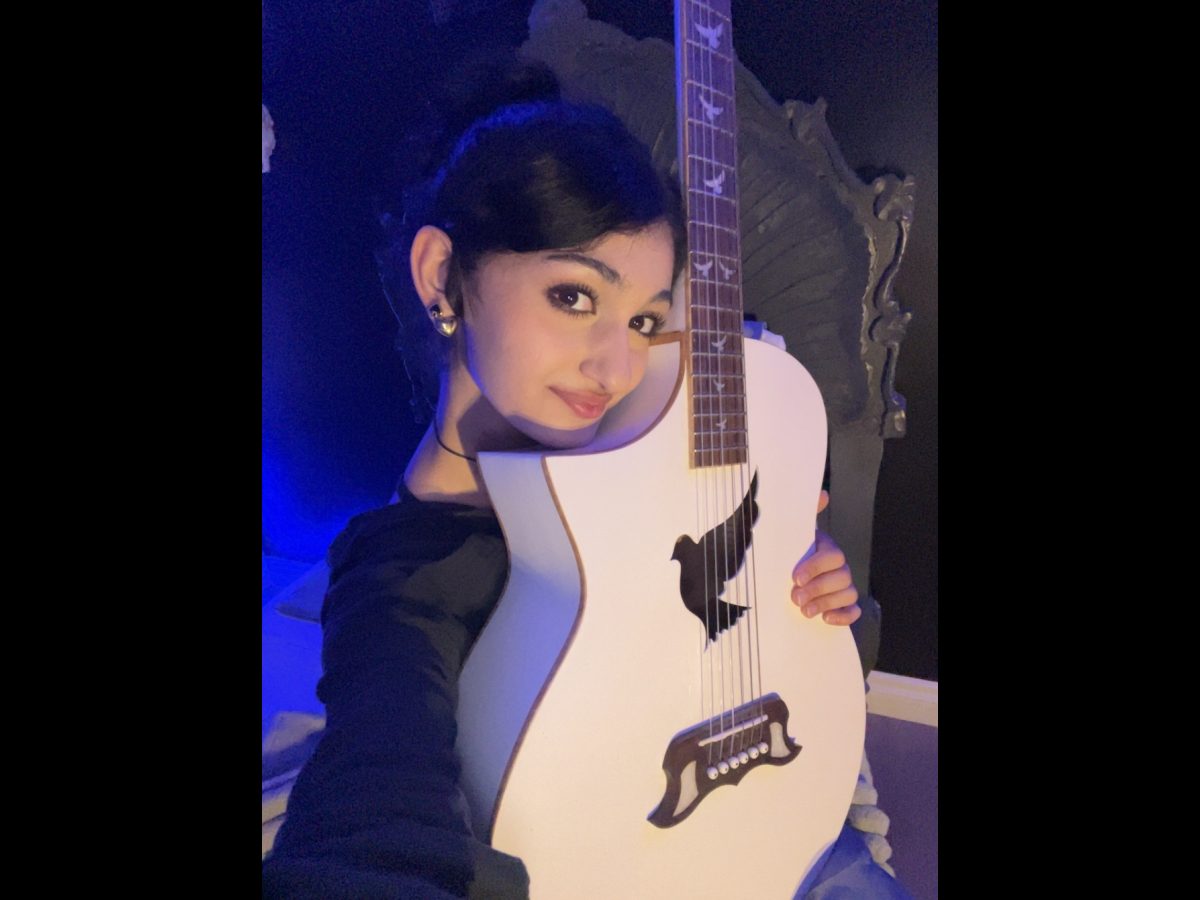 Lindo White Dove Electro Acoustic Guitar