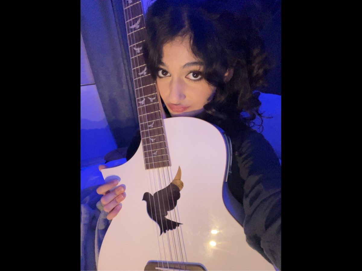 Lindo White Dove Electro Acoustic Guitar